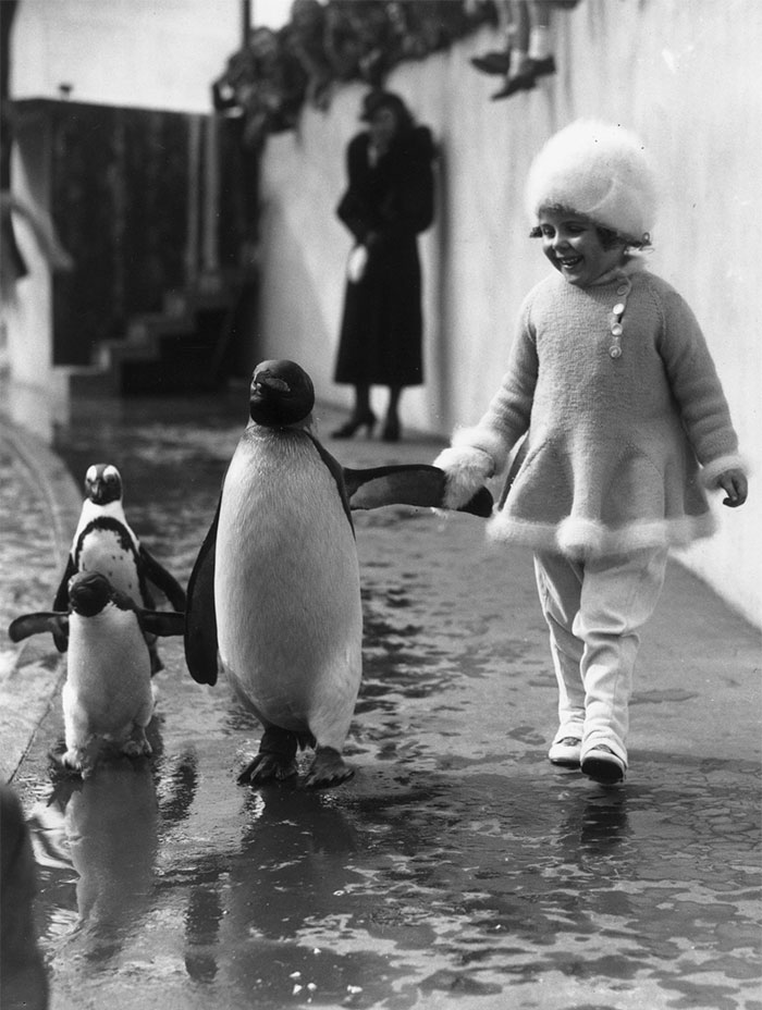 London Zoo 1937.jpg
